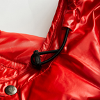 RUBÉN - Chaqueta plumas acolchada de acabado brillante con capucha™