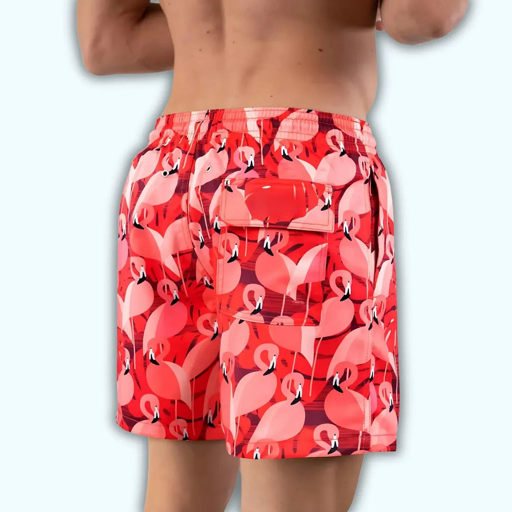 DAVID-Flamingo